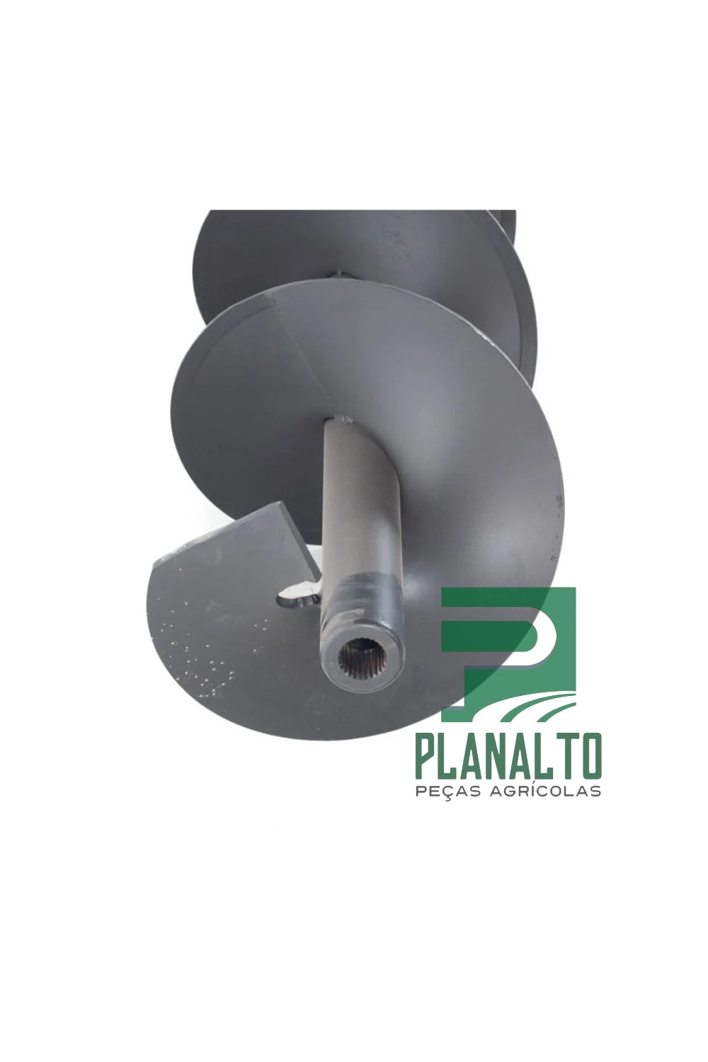 Sem Fim - AXE56290 - Forzza.