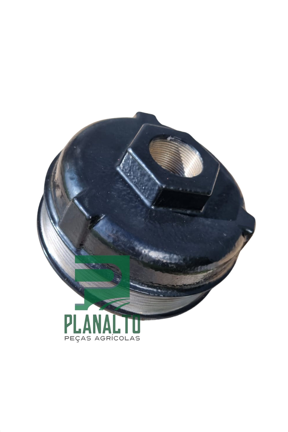 POLIA HELICE - R244285 - Forzza.