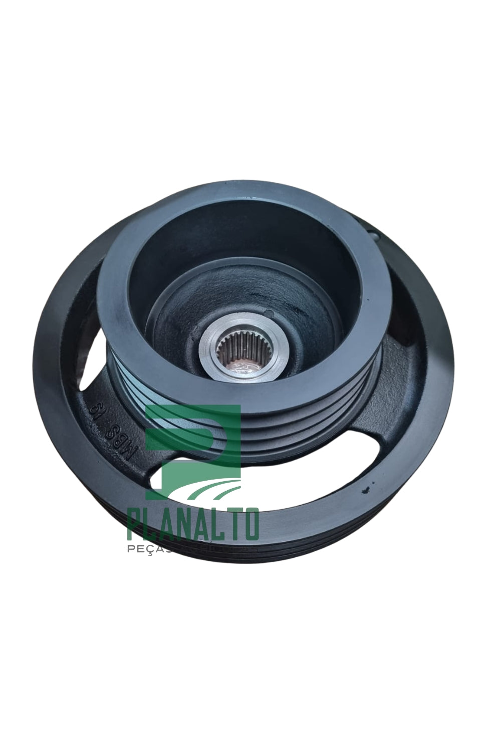 Polia do Picador - 48034628 - Forzza.