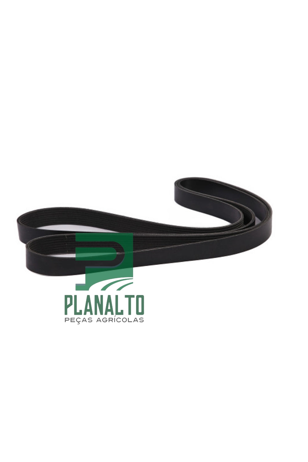 47412211 - Correia de acionamento principal - 2533 mm - Forzza.