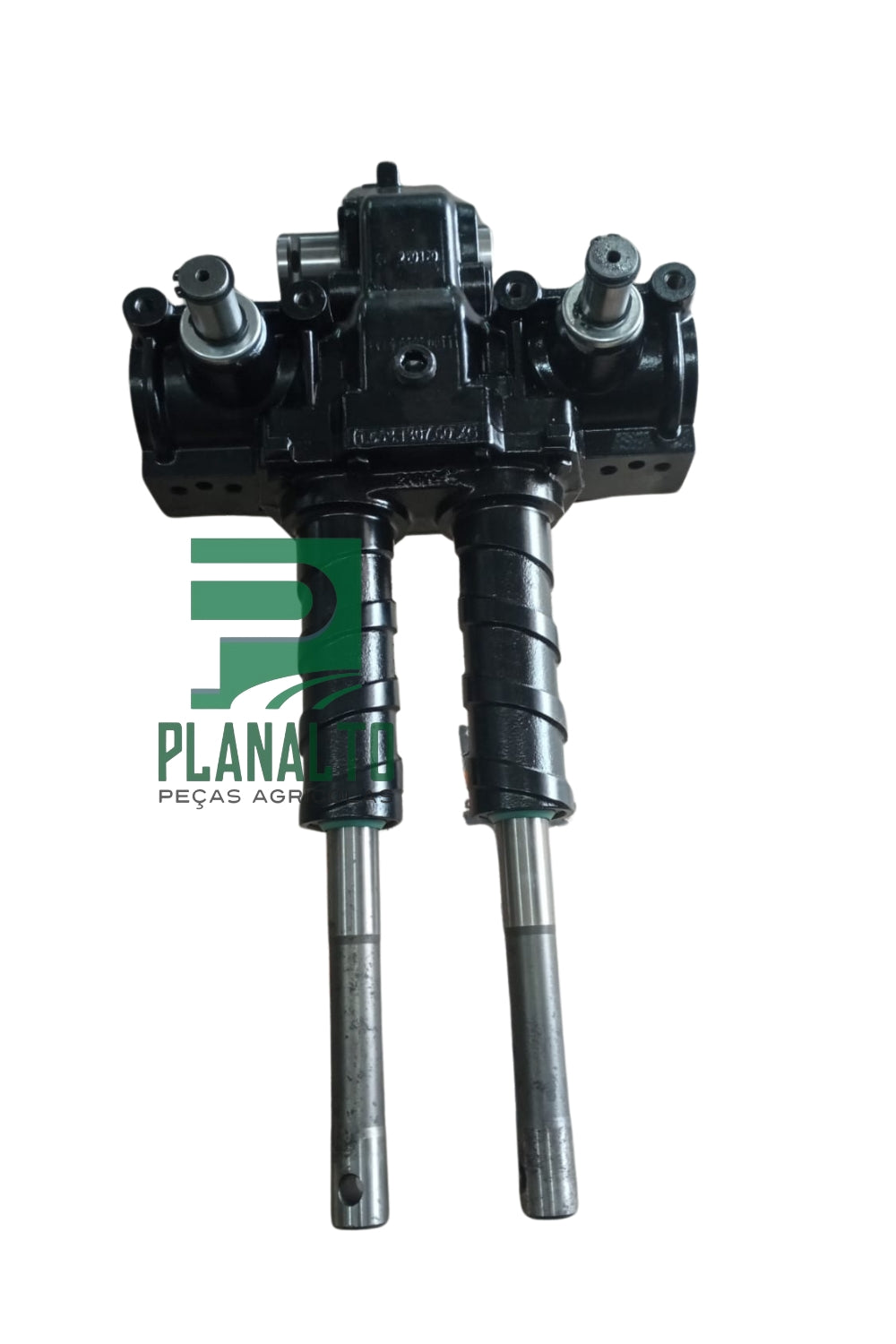 Caixa da Plataforma - 80364104 - Forzza.