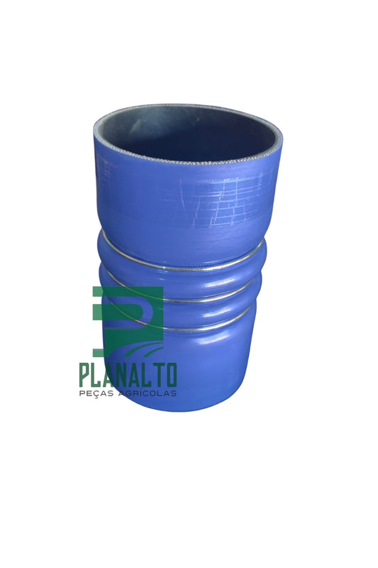 84174189 - MANGUEIRA - Forzza