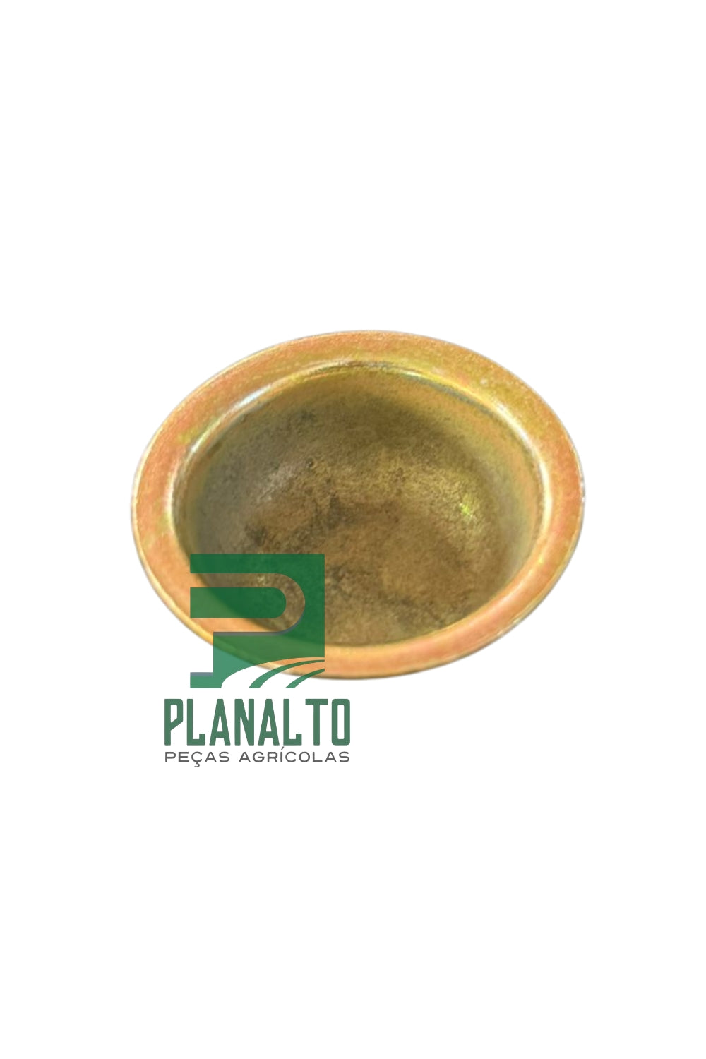 Calota do Eixo - 84195077 - Forzza.