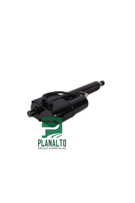 87266671 - Pino - Forzza.