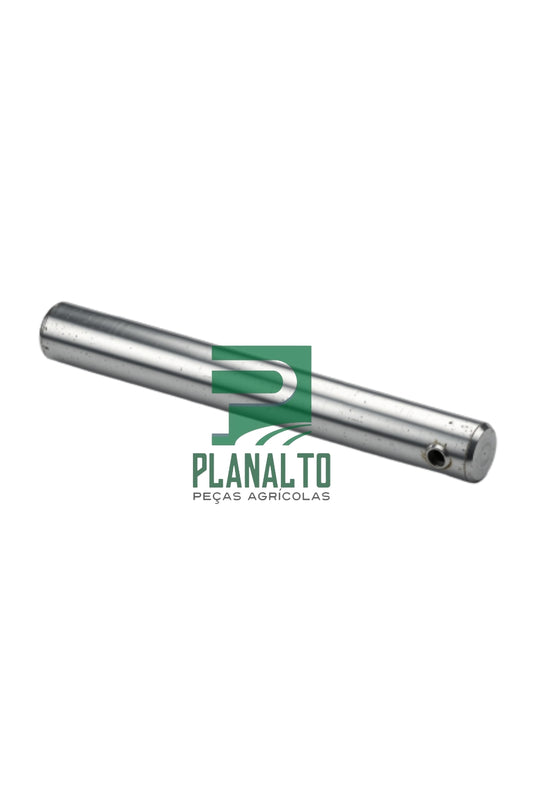 87266671 - Pino - Forzza.