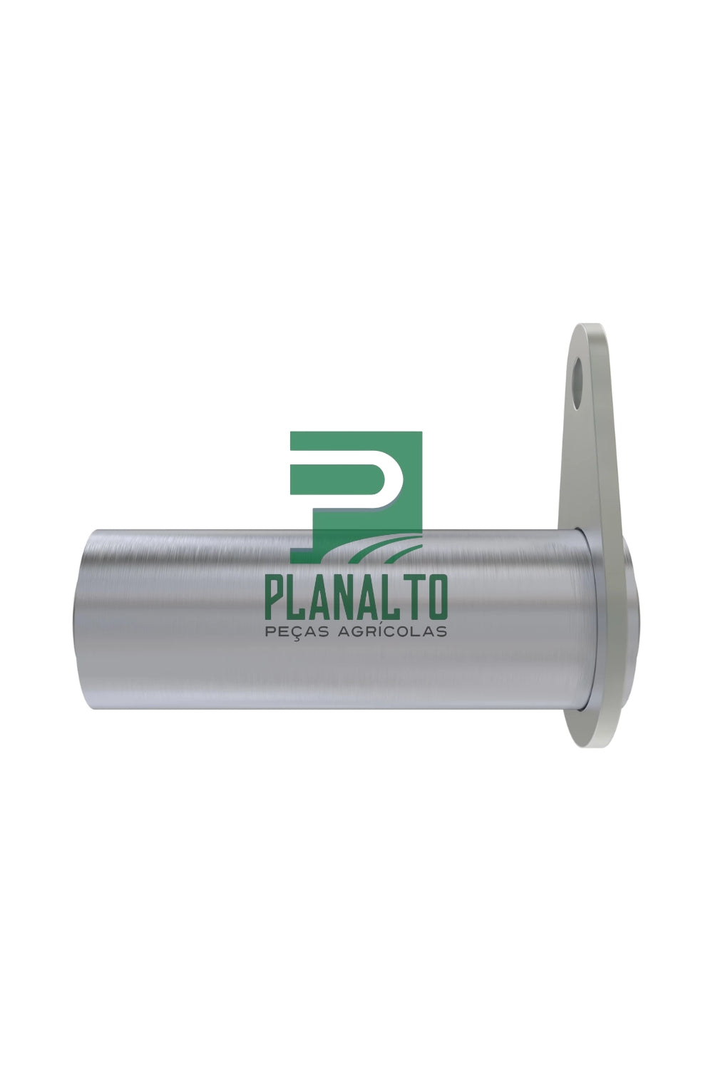 AXE48342 - Pino - Forzza.