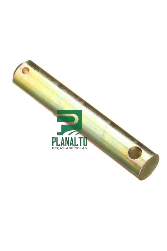 Pino - BN307218 - Forzza.