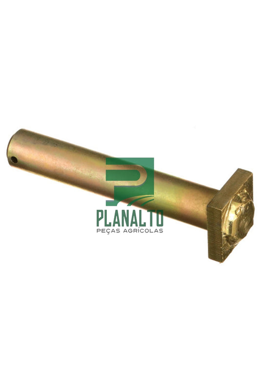 Pino Barra - BN322485 - Forzza.